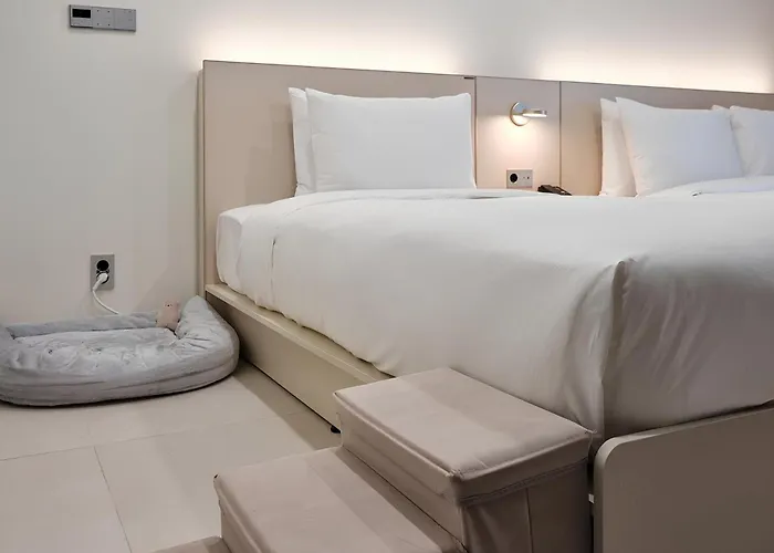The Botanik Sewoon Myeongdong Hotel