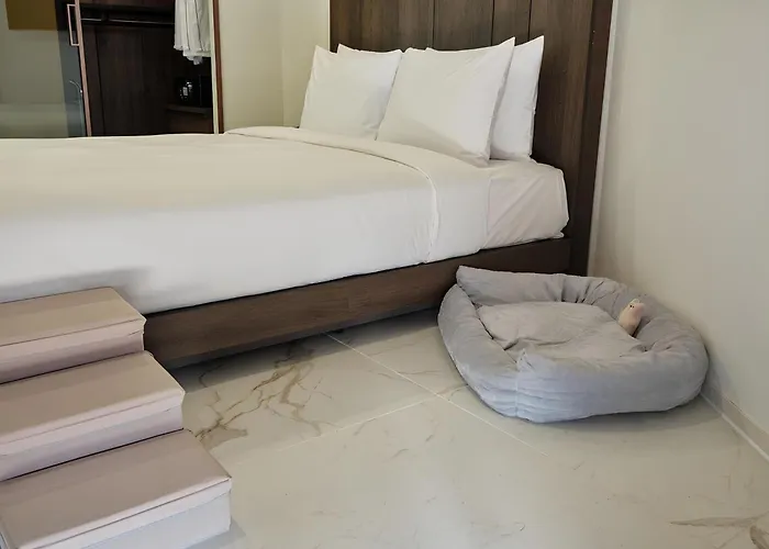 Hotel The Botanik Sewoon Myeongdong 4*