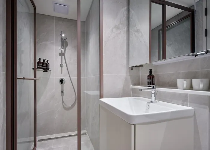 The Botanik Sewoon Myeongdong Hotel 4*